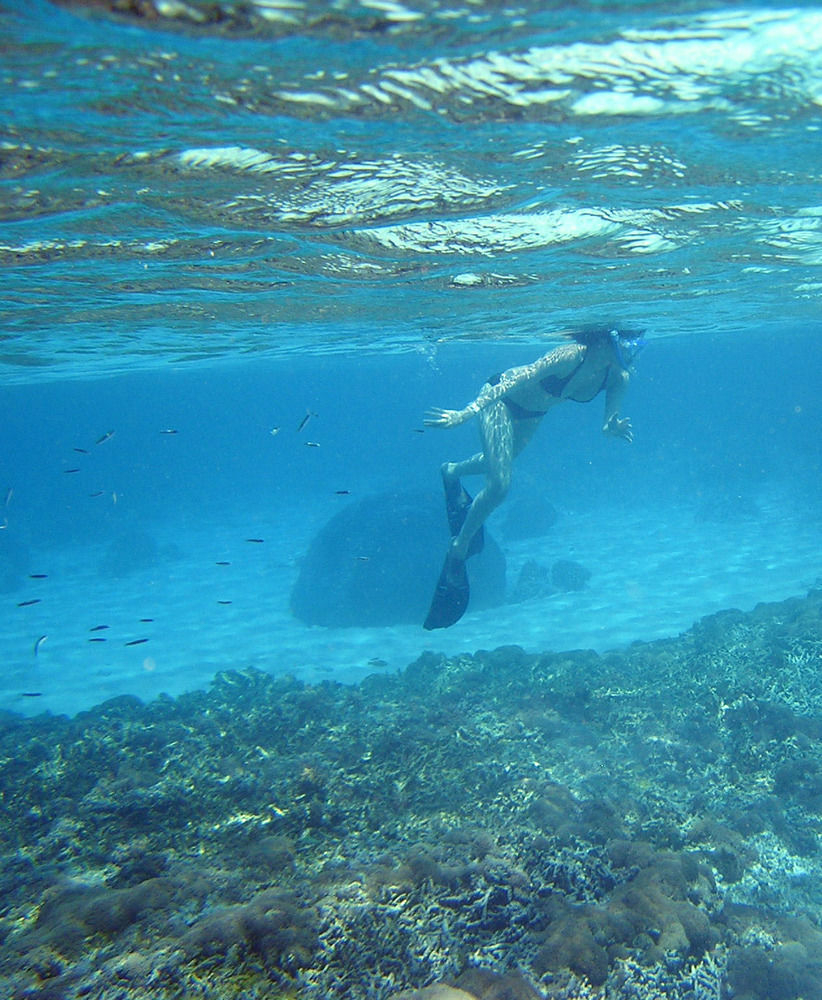 קודאט North Borneo Biostation Resort מראה חיצוני תמונה