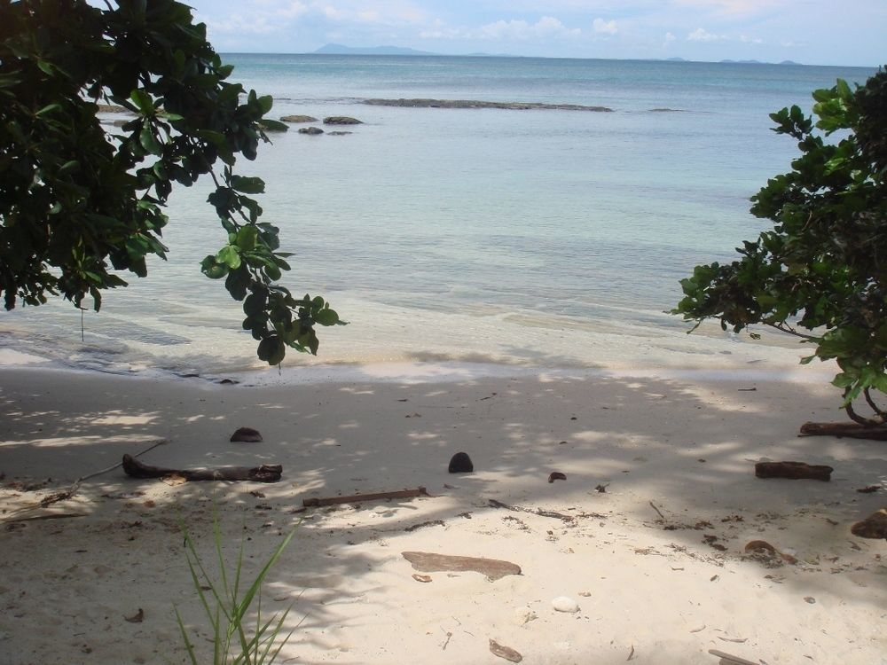 קודאט North Borneo Biostation Resort מראה חיצוני תמונה