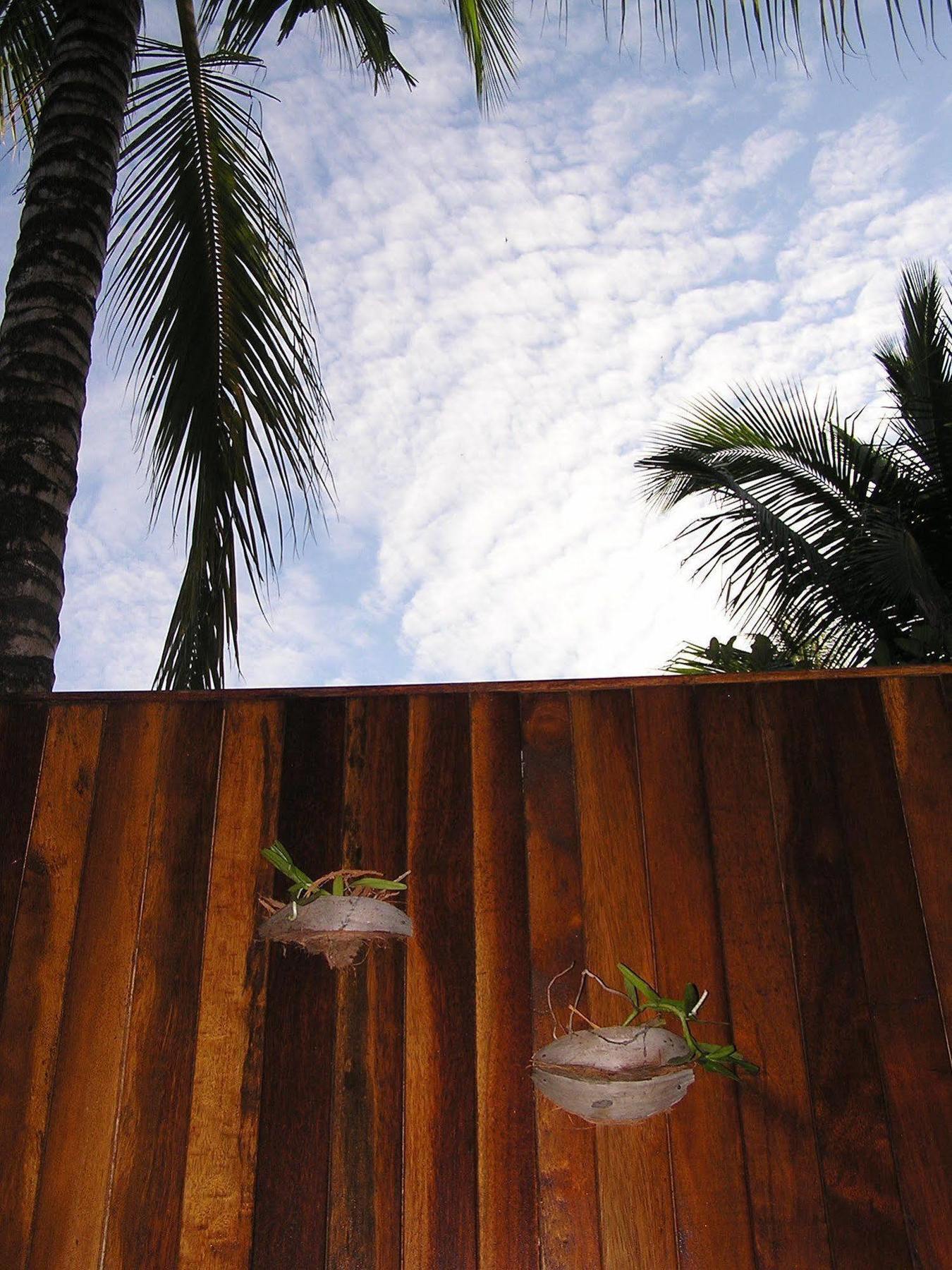 קודאט North Borneo Biostation Resort מראה חיצוני תמונה